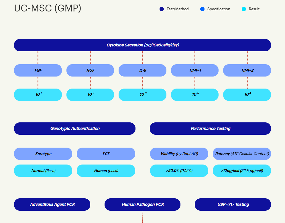 UC-MSC (GMP)